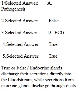 Week 1 Reading Quiz